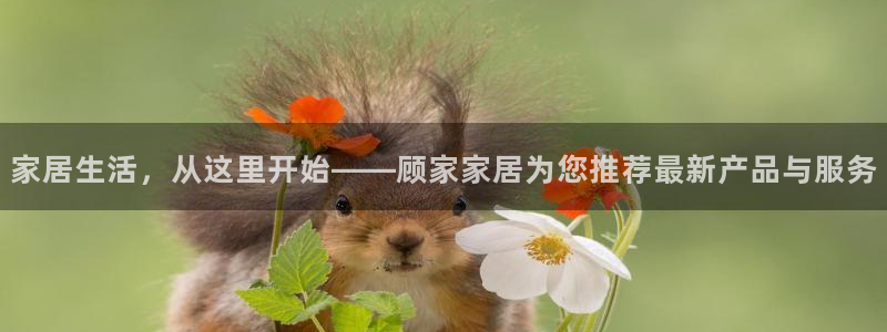 ug环球游戏网站官网