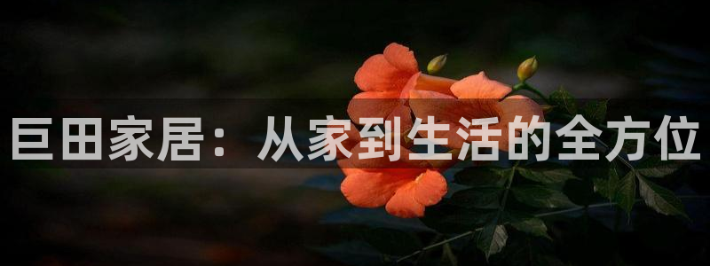 UG环球代理