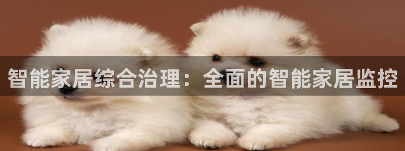 ug环球官网会员注册