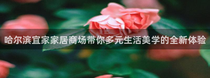 ug环球正网包杀
