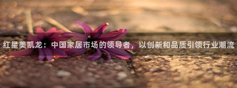 ug环球国际360